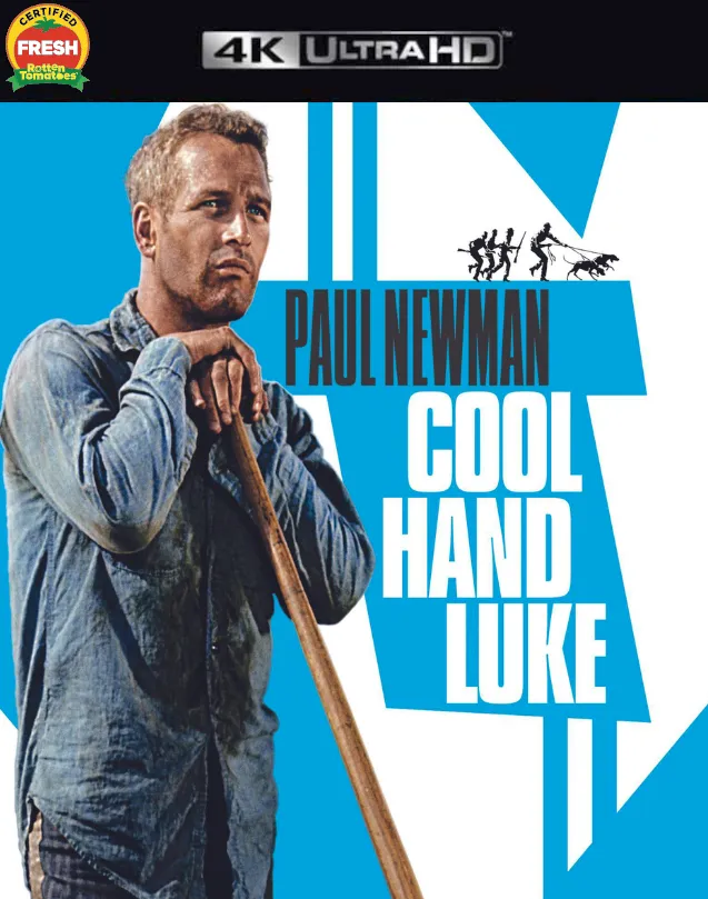 COOL HAND LUKE VUDU 4K OR ITUNES 4K VIA MA