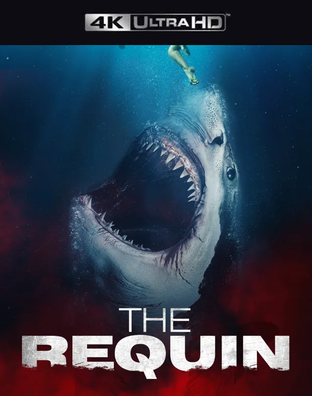 THE REQUIN VUDU 4K