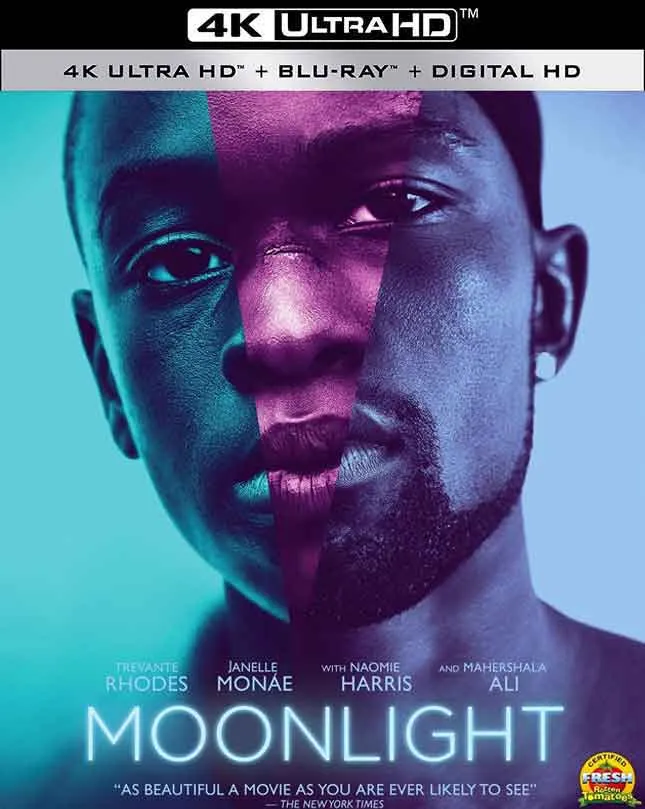 MOONLIGHT UV 4K FANDANGONOW