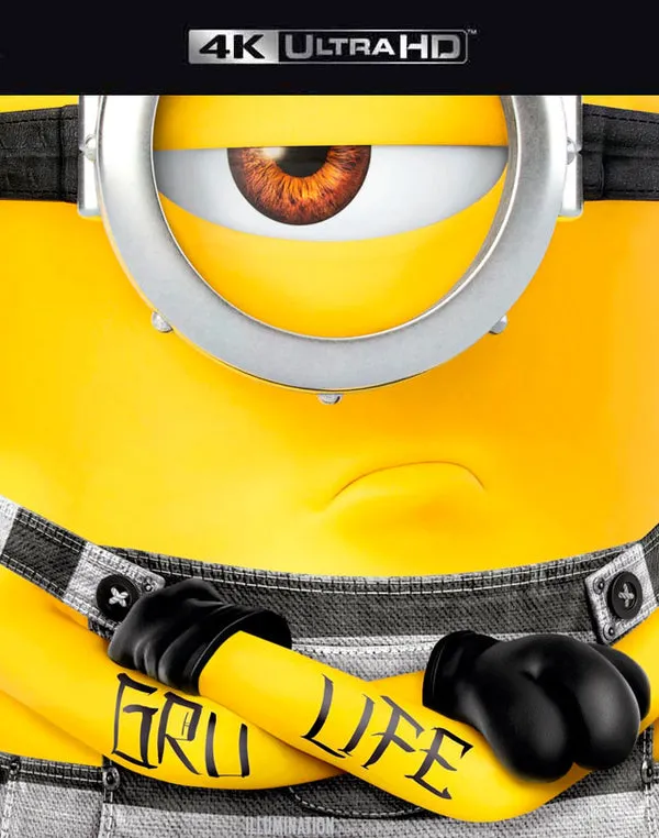 DESPICABLE ME 3 VUDU 4K