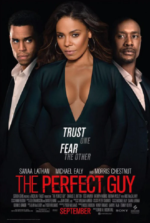 THE PERFECT GUY VUDU SD OR ITUNES SD VIA MOVIES ANYWHERE