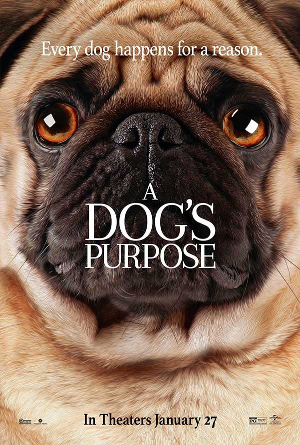 A DOG'S PURPOSE ITUNES HD