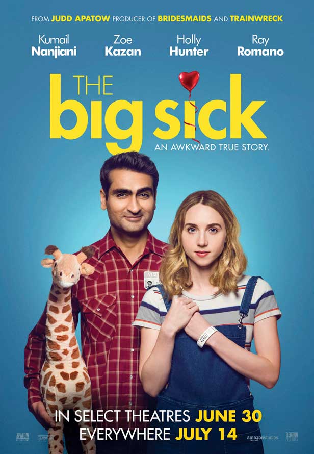 THE BIG SICK VUDU HD